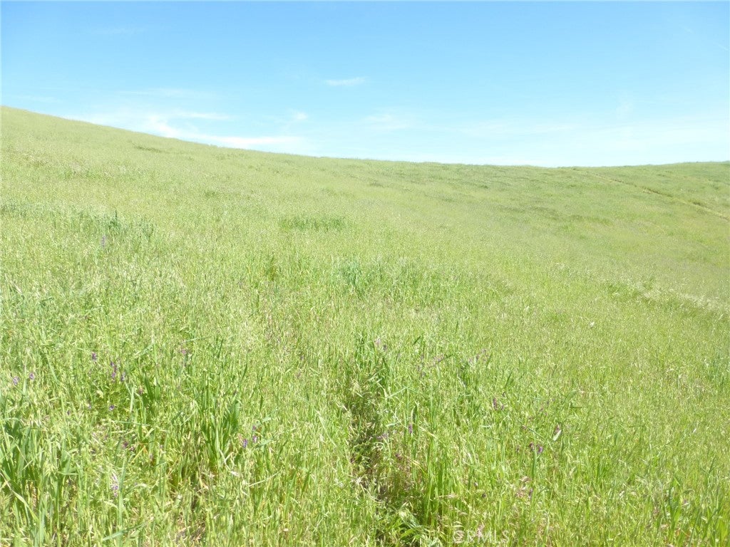 0 Douglas Rd. (Lot 41)