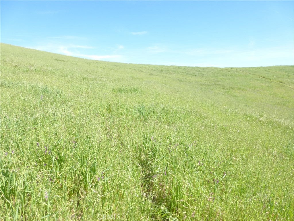 0 Douglas Rd. (Lot 41)
