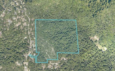 Photo of 225 Santa Cruz Street, Boulder Creek, CA 95006 (MLS # ML82041255)