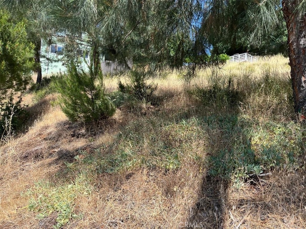 6925 Echo Drive