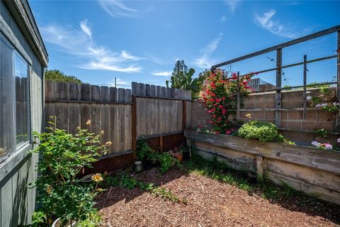 Tiny photo for 1408 3rd Street ST, Los Osos, CA 93402 (MLS # SC26089494)