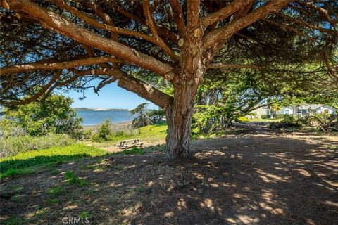 Tiny photo for 1408 3rd Street ST, Los Osos, CA 93402 (MLS # SC26089494)