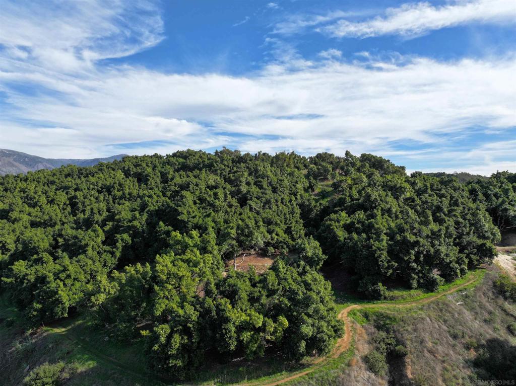 36727 Muutama Ln