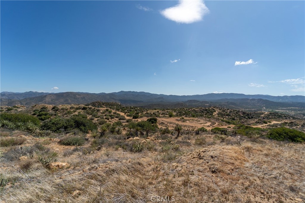 19.98 Acre lot in a beautiful isolated high desert location on the edge of Anza Borrego Desert State Park. This lot has water well (drilling report available) and electric pedestal - (meter not currently present) buyer to investigate requirements to reset the meter. There is a good size view pad. Wonderful location for someone wanting a view property off the beaten path. Property is under 24 hour surveillance please contact listing agent or have your agent contact listing agent prior to viewing property. Directions to property: Terwilliger to Coyote CAnyon @ End L Yucca Valley R Sunset Sage R Jimson L Table Mountain R Old Cattle on L is Bear Track Ct.
