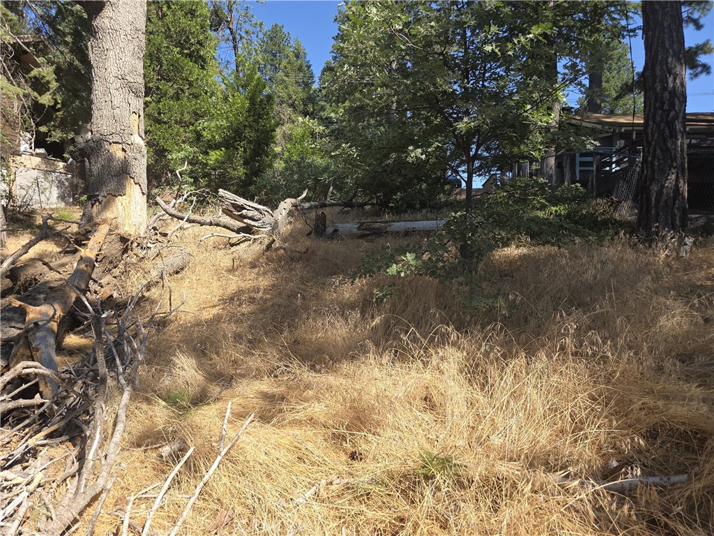 Running Springs (RUSG) - Land