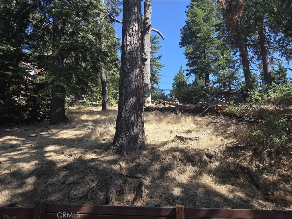 Running Springs (RUSG) - Land