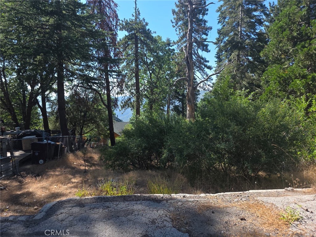 Running Springs (RUSG) - Land