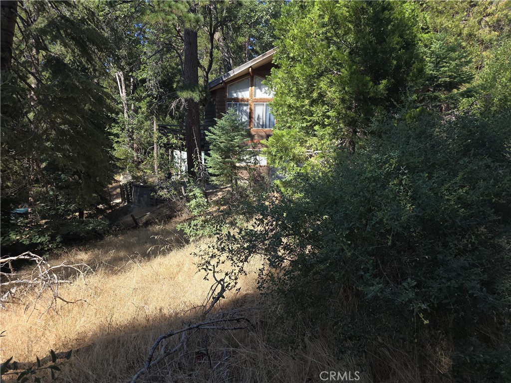 Running Springs (RUSG) - Land