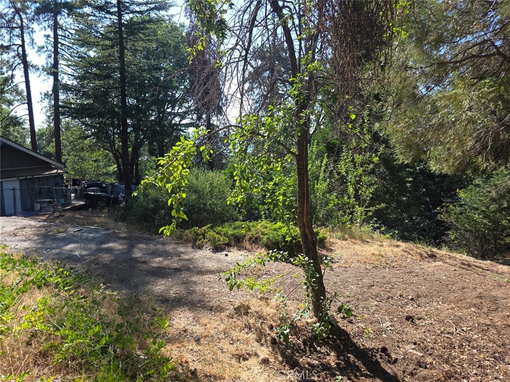 Running Springs (RUSG) - Land