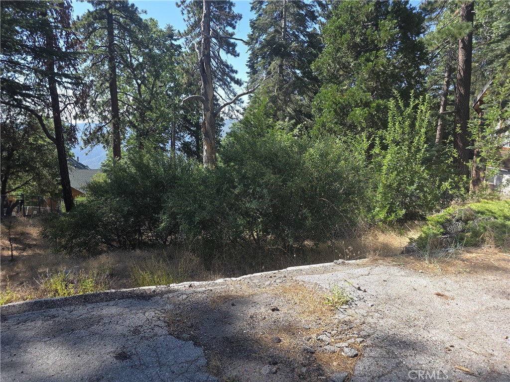 Running Springs (RUSG) - Land