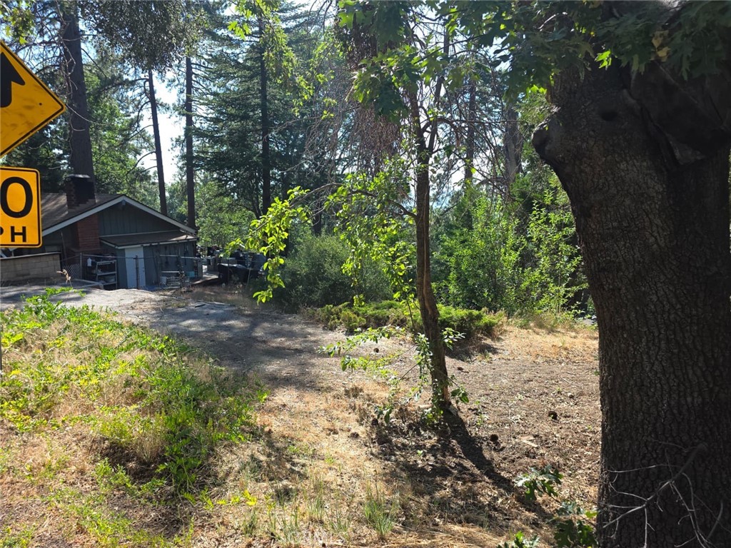 Running Springs (RUSG) - Land