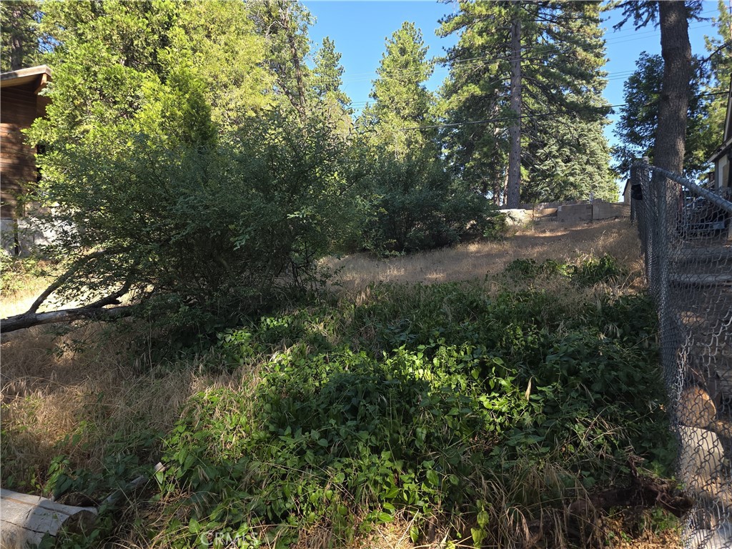 Running Springs (RUSG) - Land