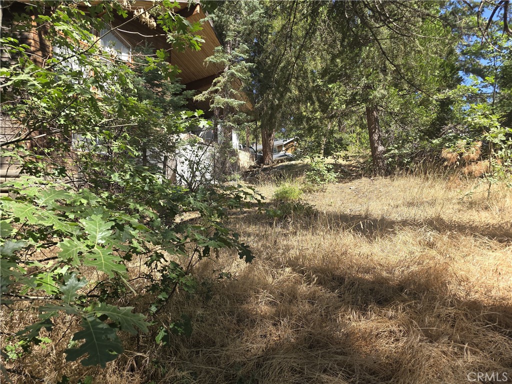 Running Springs (RUSG) - Land