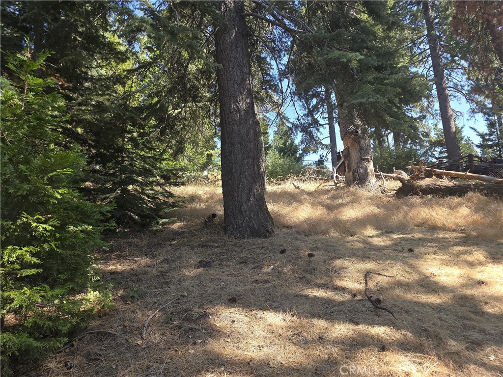 Running Springs (RUSG) - Land