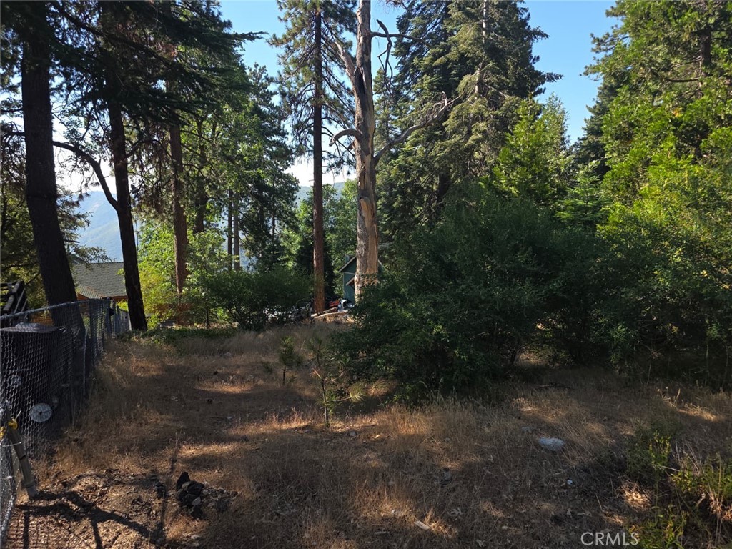 Running Springs (RUSG) - Land