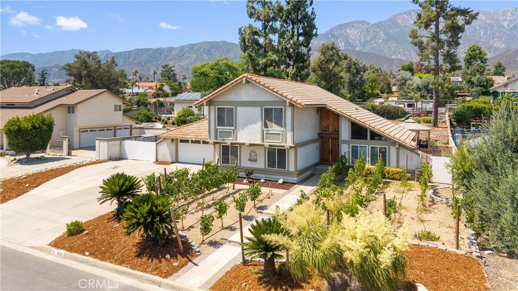 Welcome to 8010 Rosebud St. in desirable Alta Loma! This beautiful home is nestled towards the end of a cul-de-sac, featuring 3 Bedrooms and 3 full Bathrooms, family room, living room, dining room and kitchen with a spectacular view of the mountains! This home offers a large great room downstairs perfect for home schooling, offices, extra family room or can easily be converted into a downstairs bedroom or two.
A rare find, the property also features its own private vineyard, and chicken coop with some hens that stay, bringing a touch of country charm to suburban living. Enjoy spacious interiors, room to entertain, and endless possibilities outdoors with RV parking, gazebo on a lot size of 20,148 sq. ft. Located in the highly rated Alta Loma School District, close to parks, shops, and easy access to freeways. Don't miss this rare opportunity to own a slice of rural paradise right in the heart of Alta Loma!