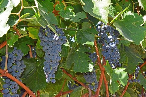 Tiny photo for 0 Adelaida Road, Paso Robles, CA 93446 (MLS # NS26008474)