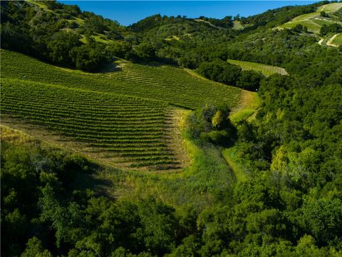 Tiny photo for 0 Adelaida Road, Paso Robles, CA 93446 (MLS # NS26008474)