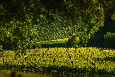 Tiny photo for 0 Adelaida Road, Paso Robles, CA 93446 (MLS # NS26008474)