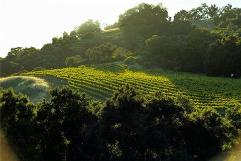 Tiny photo for 0 Adelaida Road, Paso Robles, CA 93446 (MLS # NS26008474)