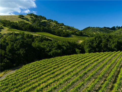 Tiny photo for 0 Adelaida Road, Paso Robles, CA 93446 (MLS # NS26008474)