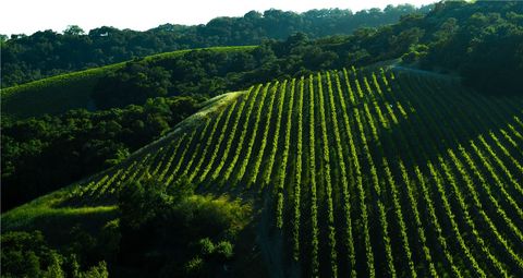 Tiny photo for 0 Adelaida Road, Paso Robles, CA 93446 (MLS # NS26008474)