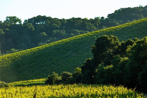 Tiny photo for 0 Adelaida Road, Paso Robles, CA 93446 (MLS # NS26008474)