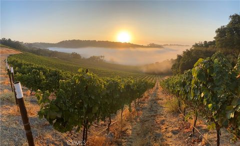 Tiny photo for 0 Adelaida Road, Paso Robles, CA 93446 (MLS # NS26008474)