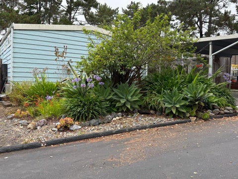 Photo of 300 Plum ST #17, Capitola, CA 95010 (MLS # ML82059678)