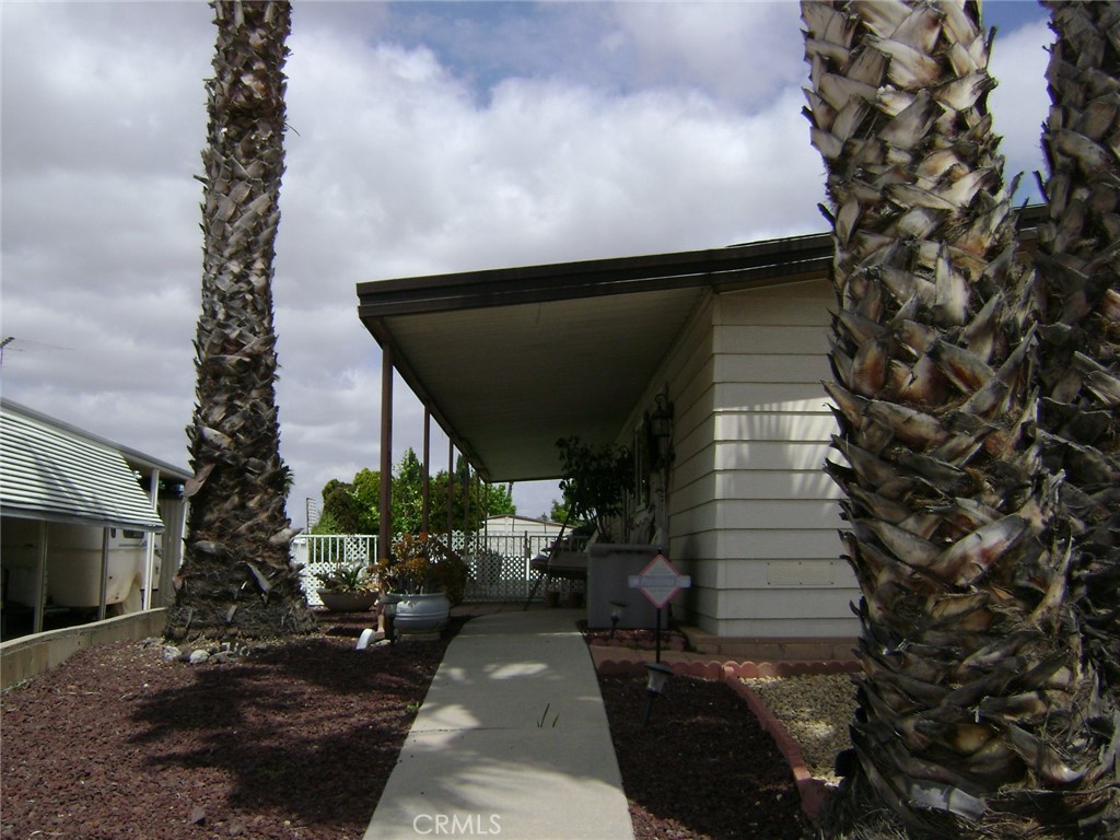 30710 Palmetto Palm