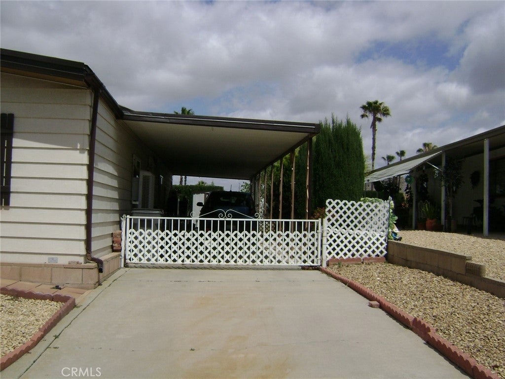 30710 Palmetto Palm
