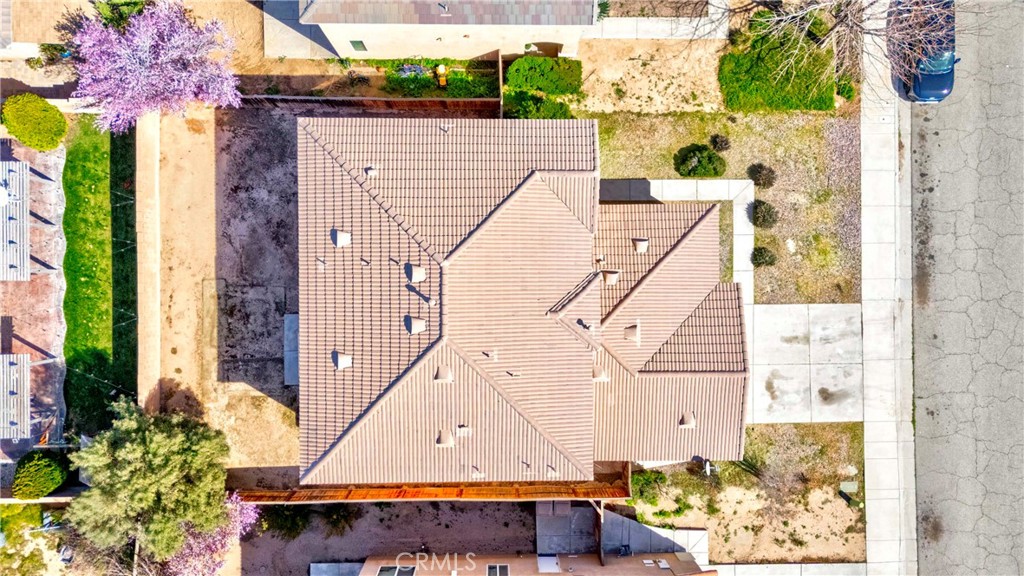 14166 Dry Creek Street