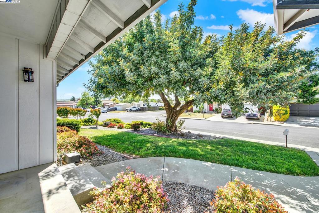 584 Greenwood Dr