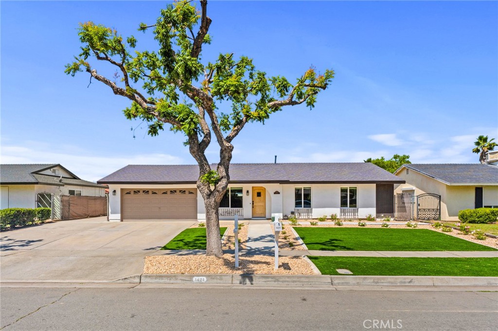 1421 De Anza