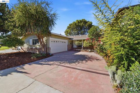 Photo of 24889 Bland St St, Hayward, CA 94541 (MLS # 41127820)