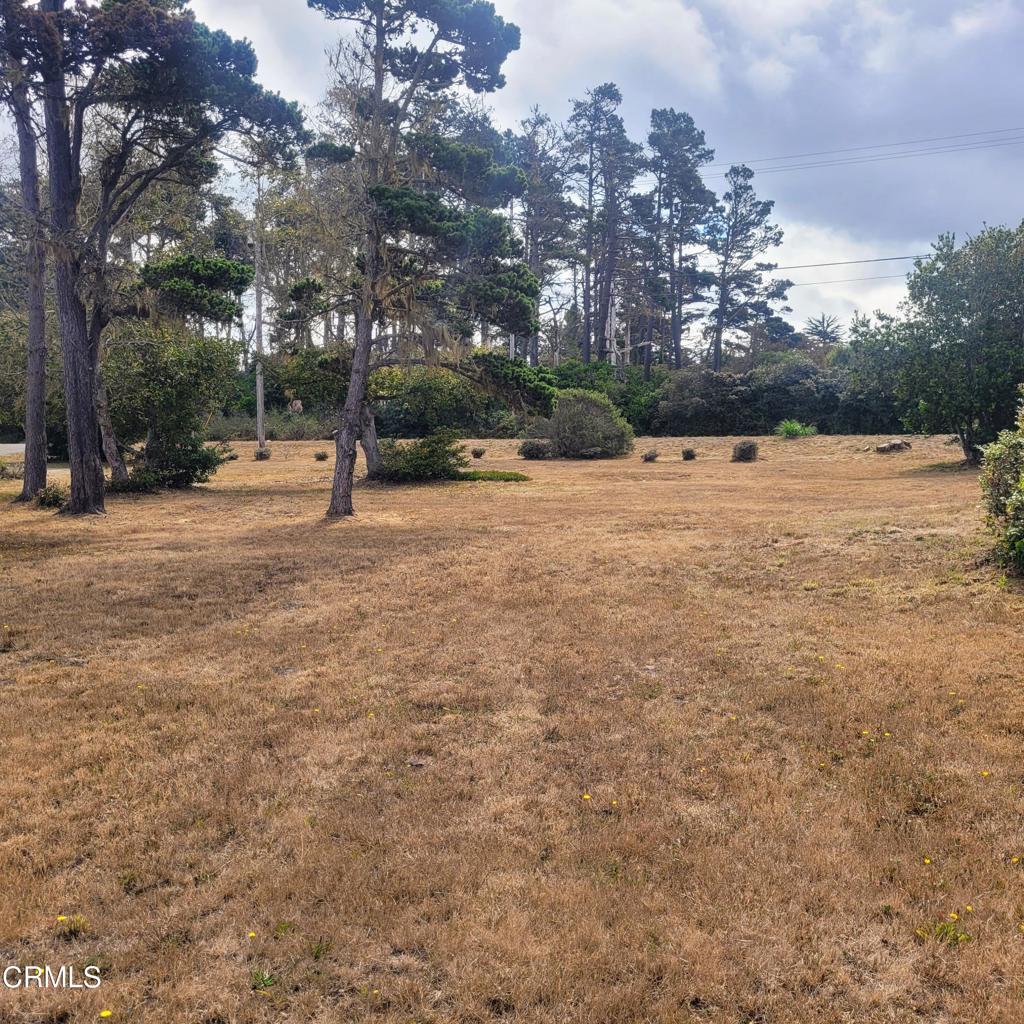 23650 North Highway 1