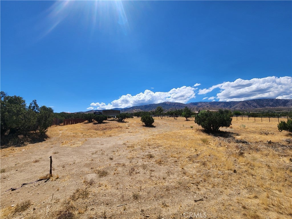 985 Cholla Road