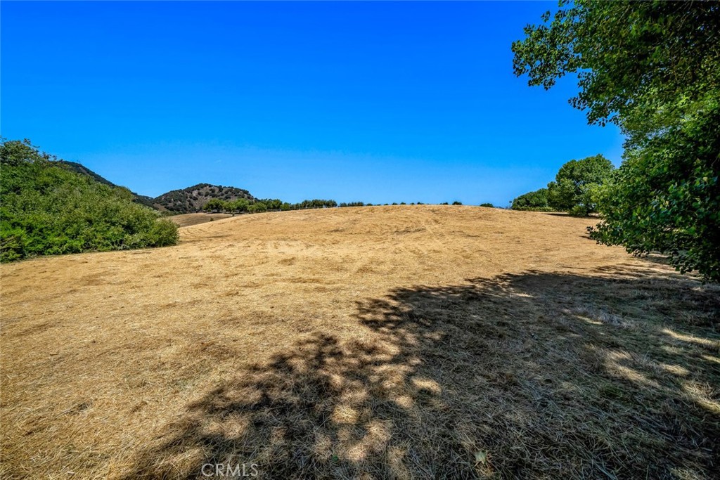 1590 Apple Orchard Lane
