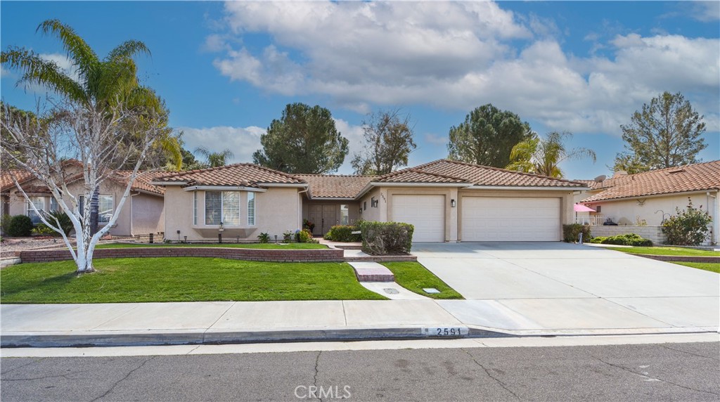 2591 Peach Tree