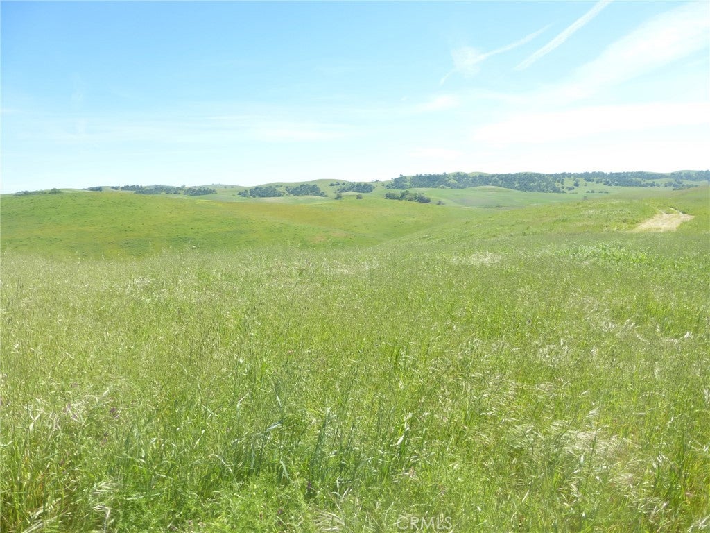 0 Douglas Rd. (Lot 42)