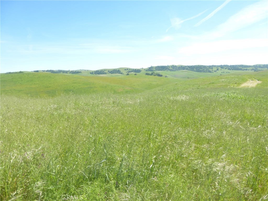 0 Douglas Rd. (Lot 42)