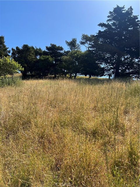 Tiny photo for 0 Pierce, Cambria, CA 93428 (MLS # SC26053477)