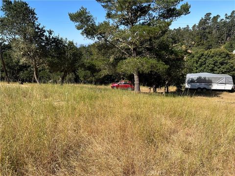 Tiny photo for 0 Pierce, Cambria, CA 93428 (MLS # SC26053477)
