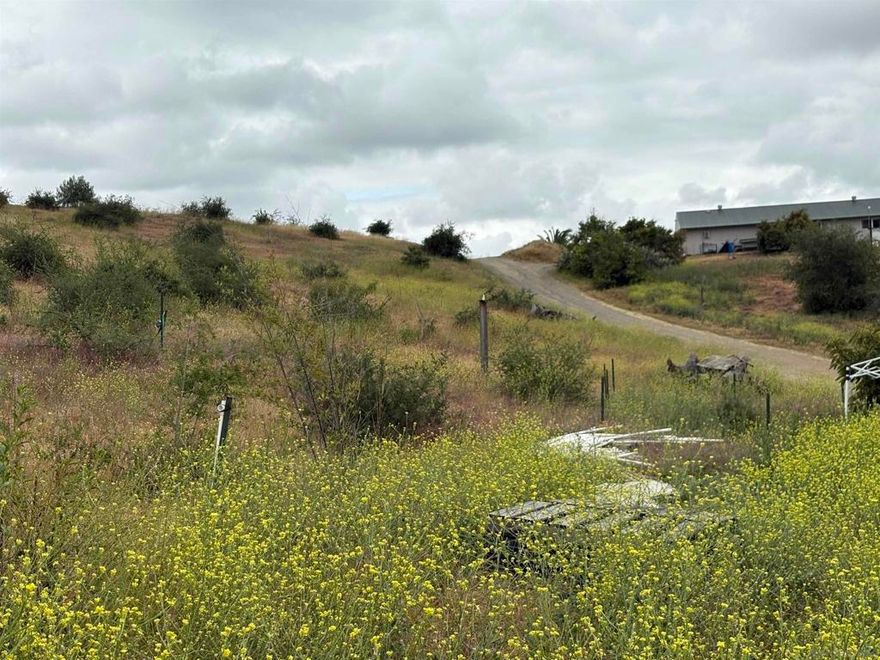 Nestled on 21.36 acres along Santa Virginia Drive in Valley Center (APN 128-201-02), this property blends natural beauty with extensive agricultural improvements. Approximately five acres have been cleared and improved with irrigation infrastructure, a water service connection, drip systems, and mature plantings—including around 100 thriving Moringa trees, citrus trees, and a few producing avocado trees. A shed, mulched walking paths, and planted bamboo varieties enhance the land’s utility and potential. The remaining acreage features a mix of natural terrain and existing avocado groves, offering buyers a rare combination of usable land, unique crops, and inspiring views.****No soils reports, surveys, etc., have been done. Buyer and buyer's agent to verify all information with the city or county for allowable uses and requirements  and rely on their own investigations. **Buyer responsible for checking zoning, utilities, permits and exact property boundaries. ****