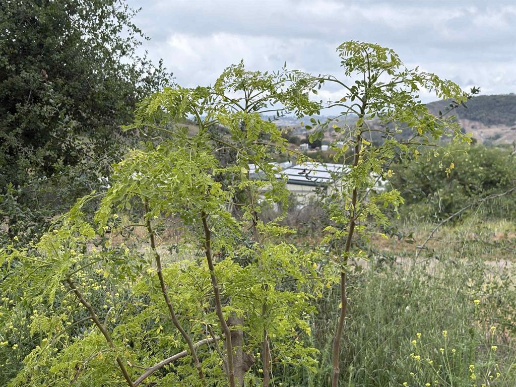 Valley Center - Land