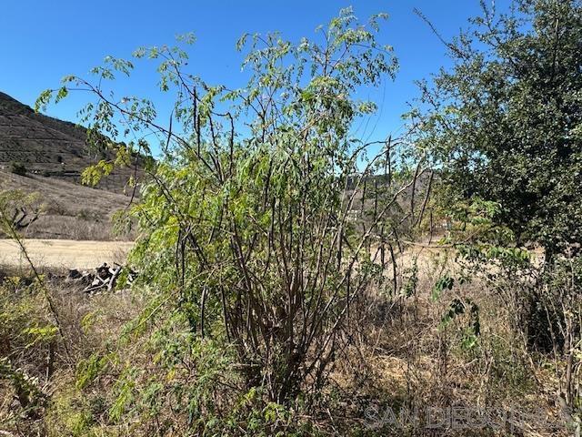 Valley Center - Land