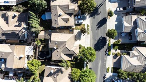 Tiny photo for 782 Redhaven St ST, Brentwood, CA 94513 (MLS # 41137320)