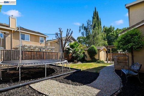 Tiny photo for 782 Redhaven St ST, Brentwood, CA 94513 (MLS # 41137320)