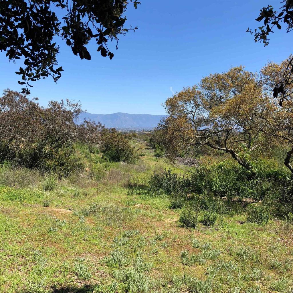 High Mountain Ln