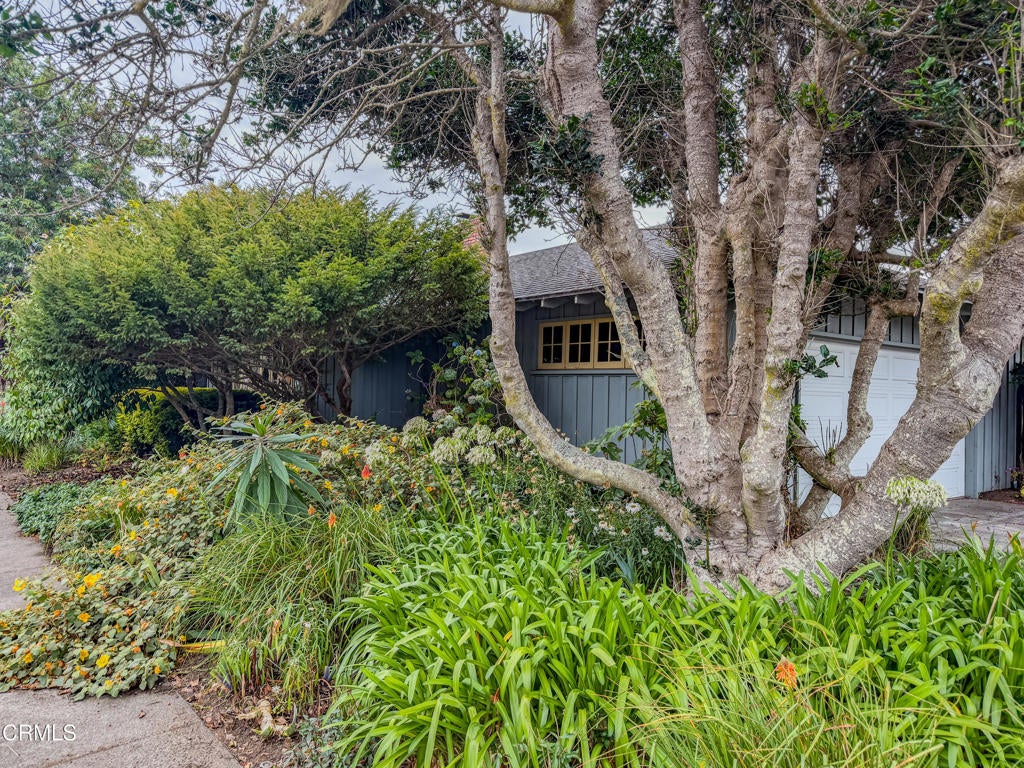 400 Winifred Street